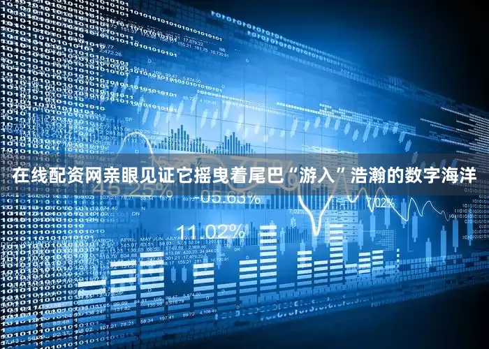 在线配资网亲眼见证它摇曳着尾巴“游入”浩瀚的数字海洋