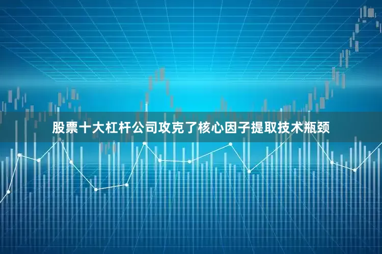 股票十大杠杆公司攻克了核心因子提取技术瓶颈
