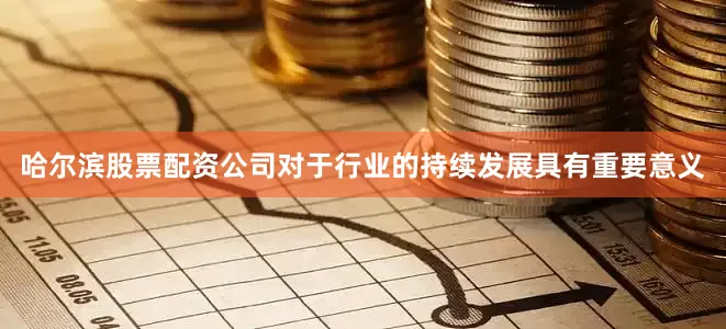 哈尔滨股票配资公司对于行业的持续发展具有重要意义