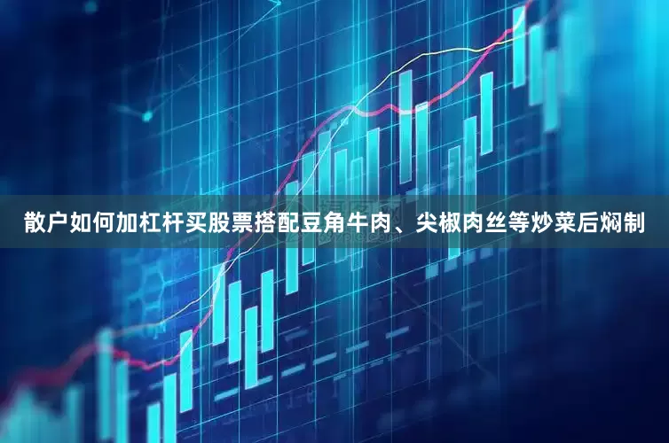 散户如何加杠杆买股票搭配豆角牛肉、尖椒肉丝等炒菜后焖制